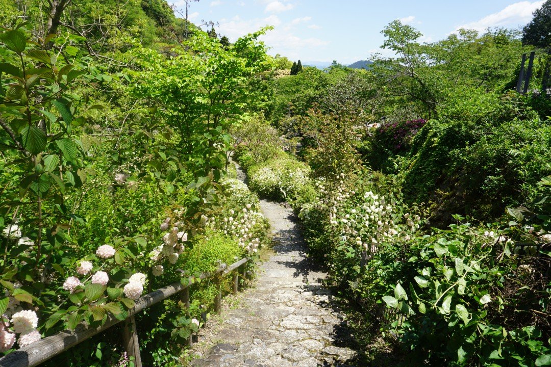 🌿 마키노 기념 정원 기념관(마키노 키넨 테이엔 키넨칸) 이미지 10